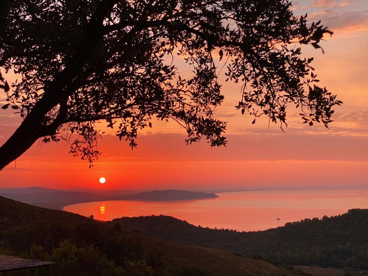 Villa Borgo degli Ulivi Porto Ercole  Esterno foto