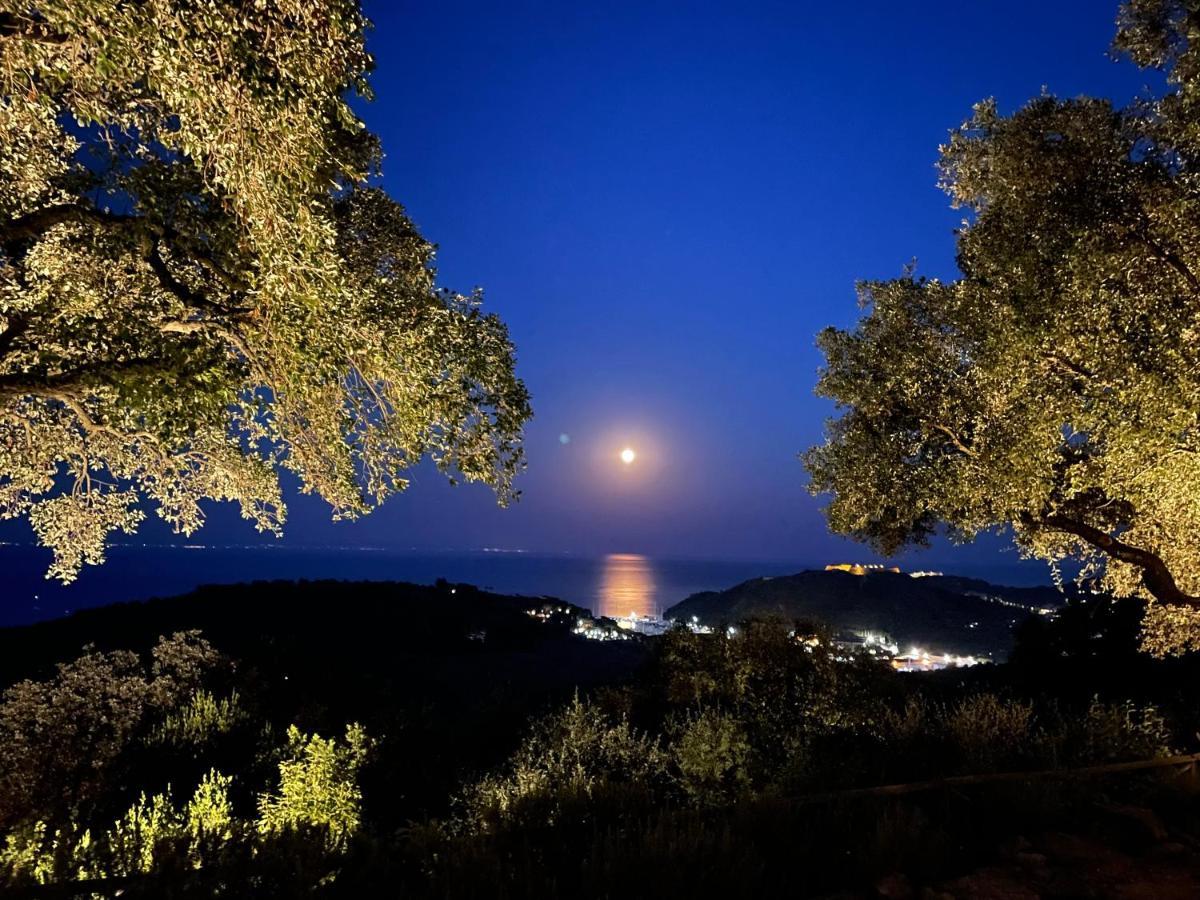 Villa Borgo degli Ulivi Porto Ercole  Esterno foto