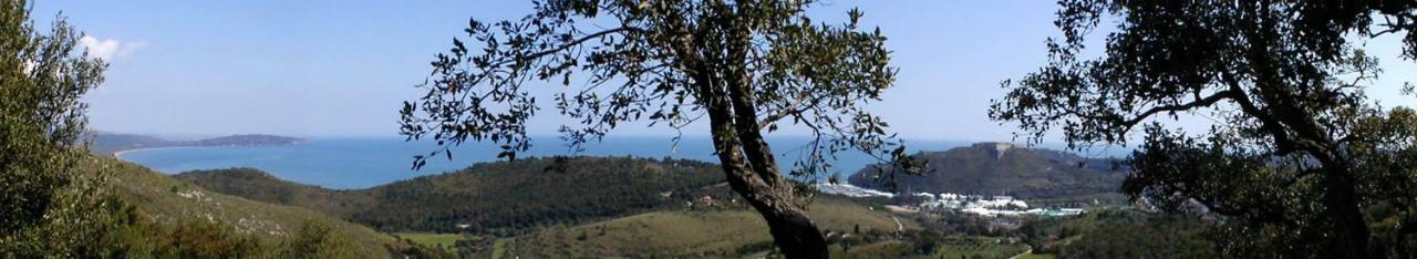 Villa Borgo degli Ulivi Porto Ercole  Esterno foto