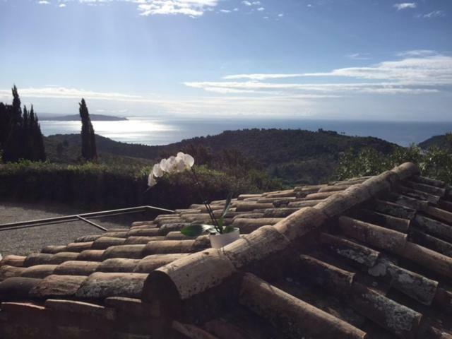 Villa Borgo degli Ulivi Porto Ercole  Esterno foto